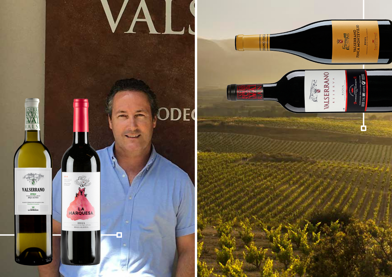 Spotlight on Bodegas de la Marquesa Valserrano