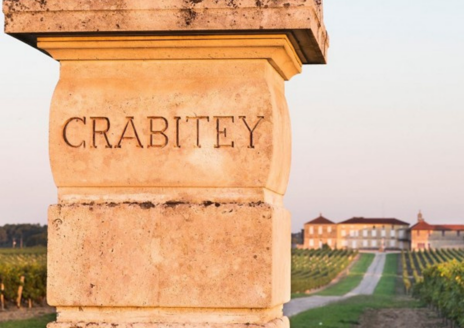 The rise of Château Crabitey