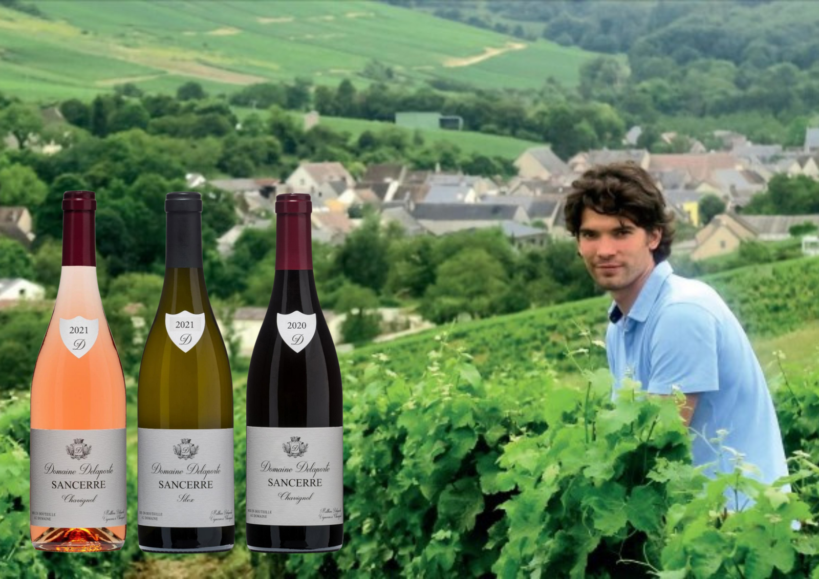 Spotlight on Domaine Delaporte - Sancerre House