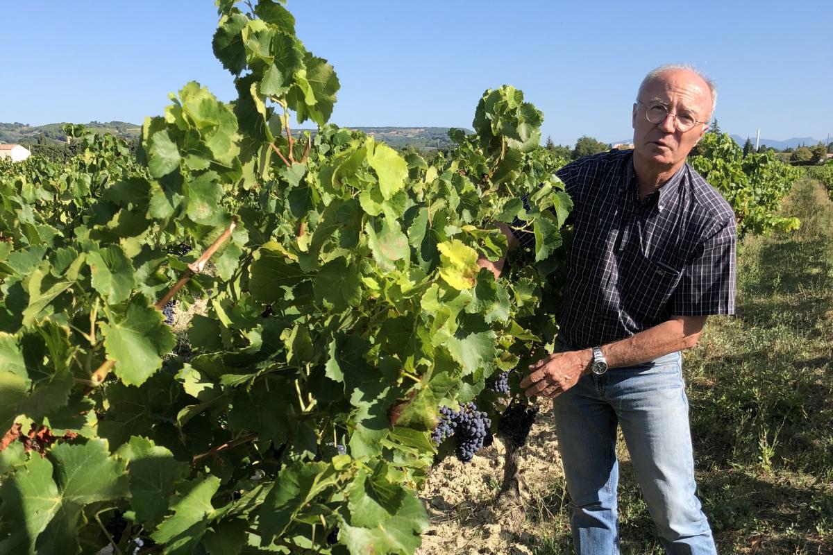 Domaine de l'Amauve