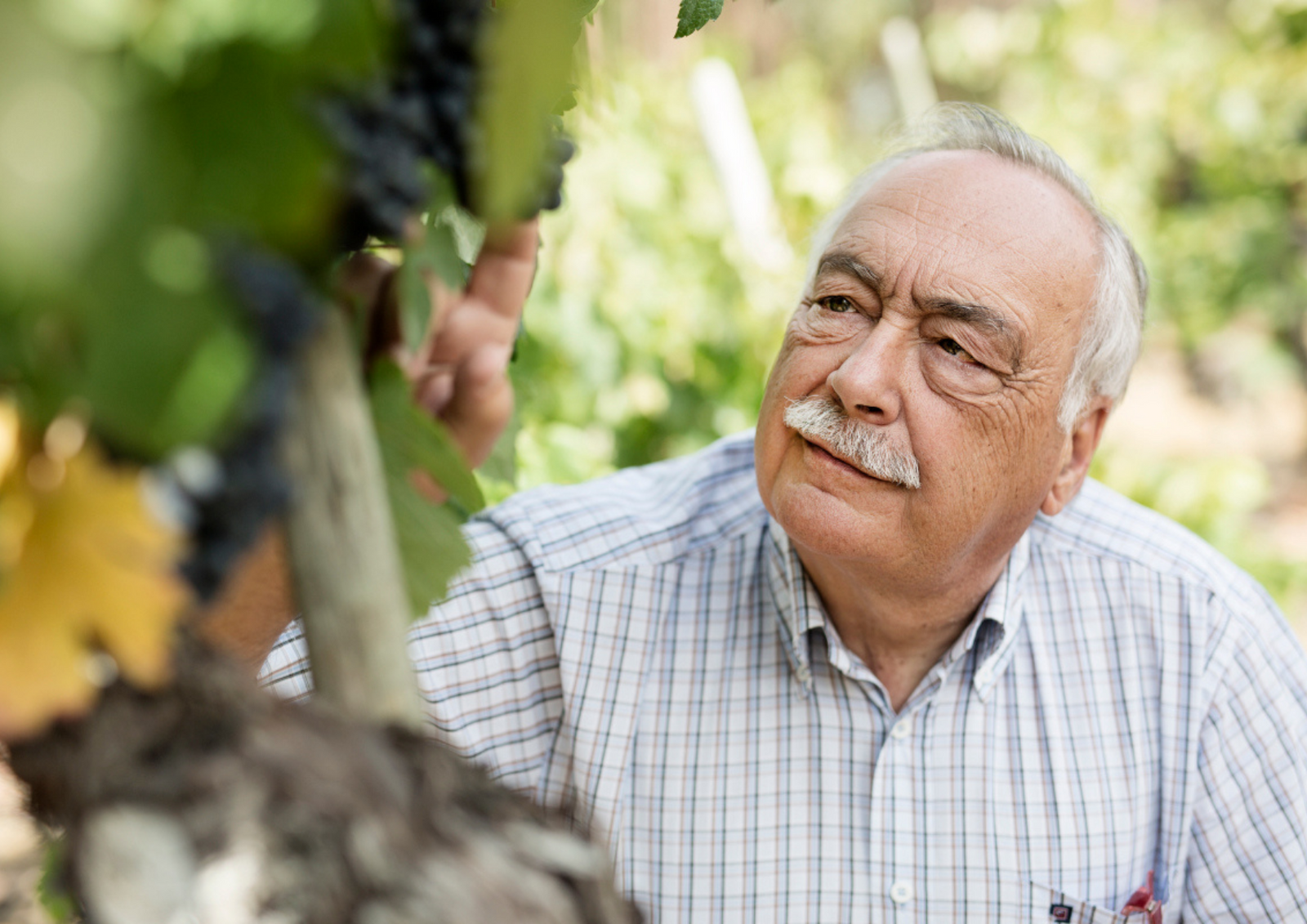 Luís Pato