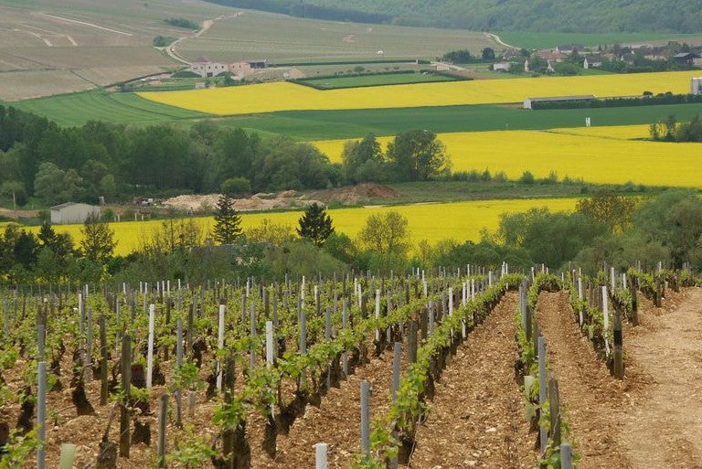 Domaine du Colombier