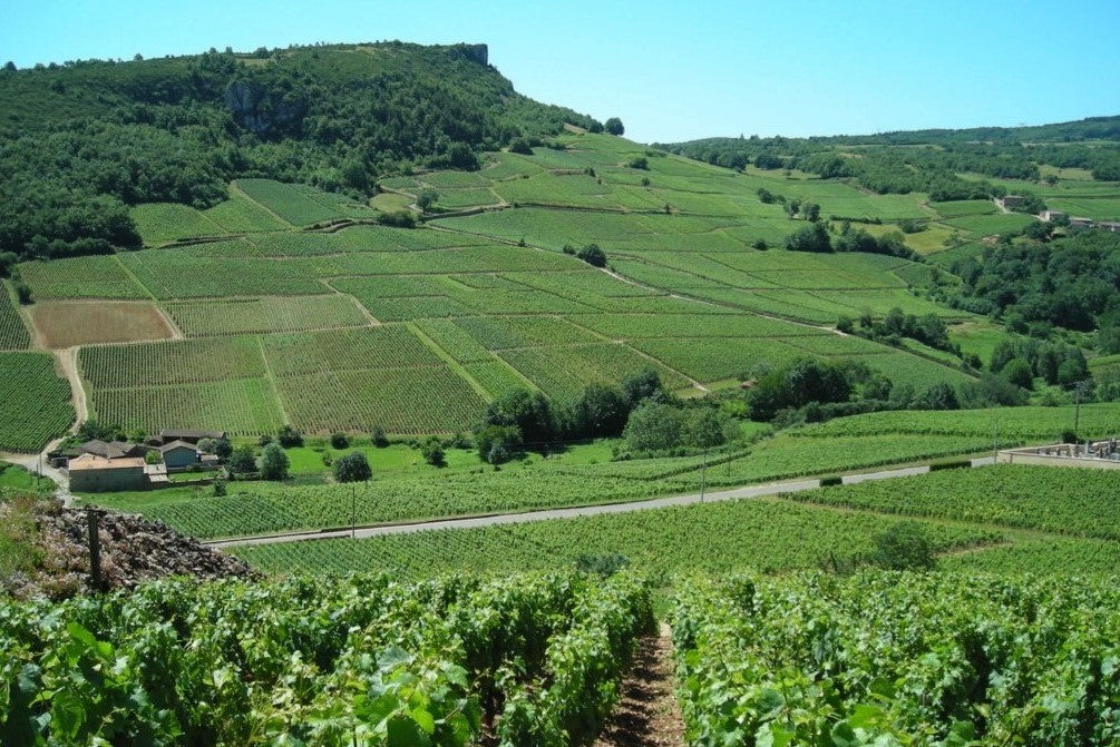 Domaine Guerrin et Fils