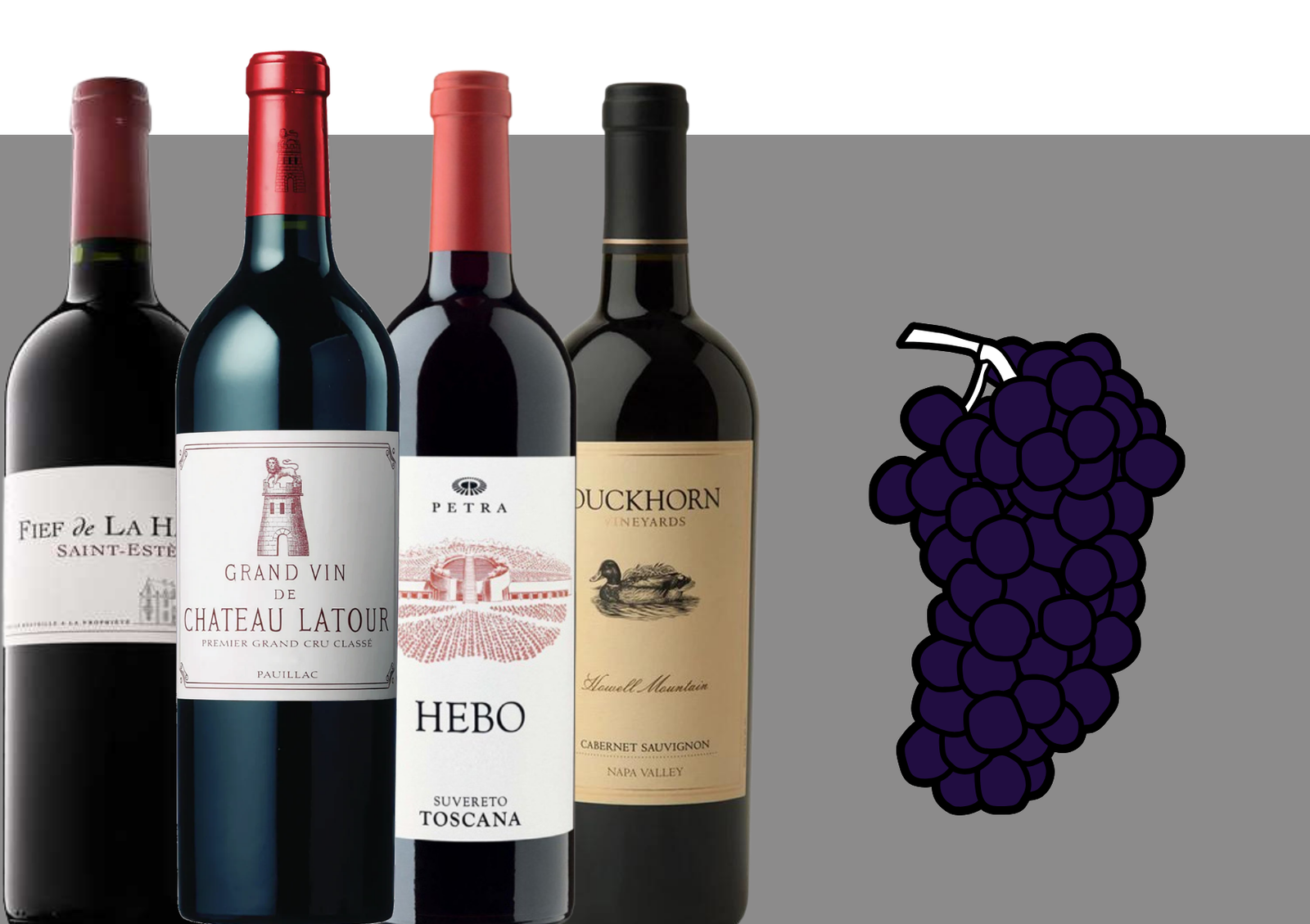 Cabernet Sauvignon | Our Comprehensive Guide