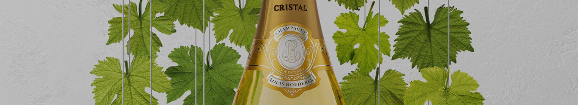 A bottle of Louis Roederer Champagne by Whelehans Wines