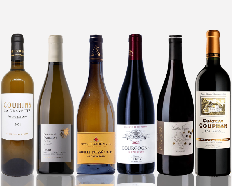 Seasonal Wine Case | Élégance