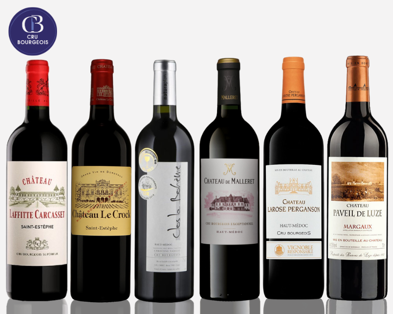 Fantastic Cru Bourgeois Case
