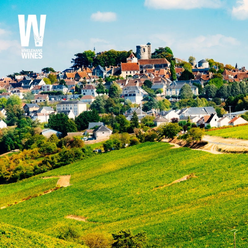 Exploration Thursdays | 26th March 2026 - Wines of the Loire