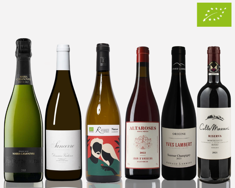 Collection of organic wine bottles with various labels on a white background - By Whelehans Wines.