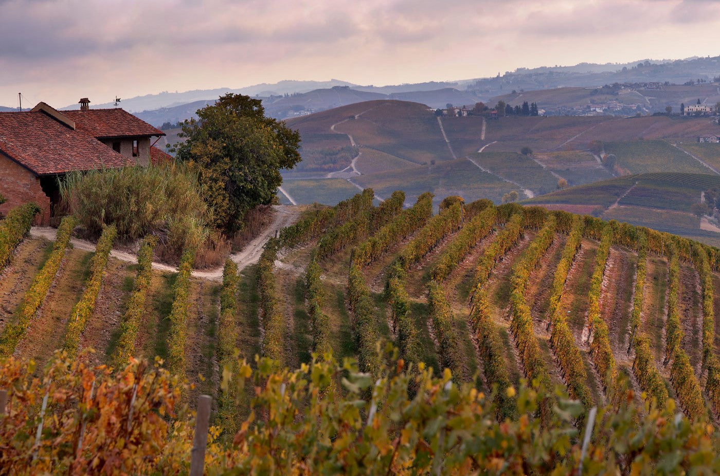 Shipping wines from some of the world best wineries