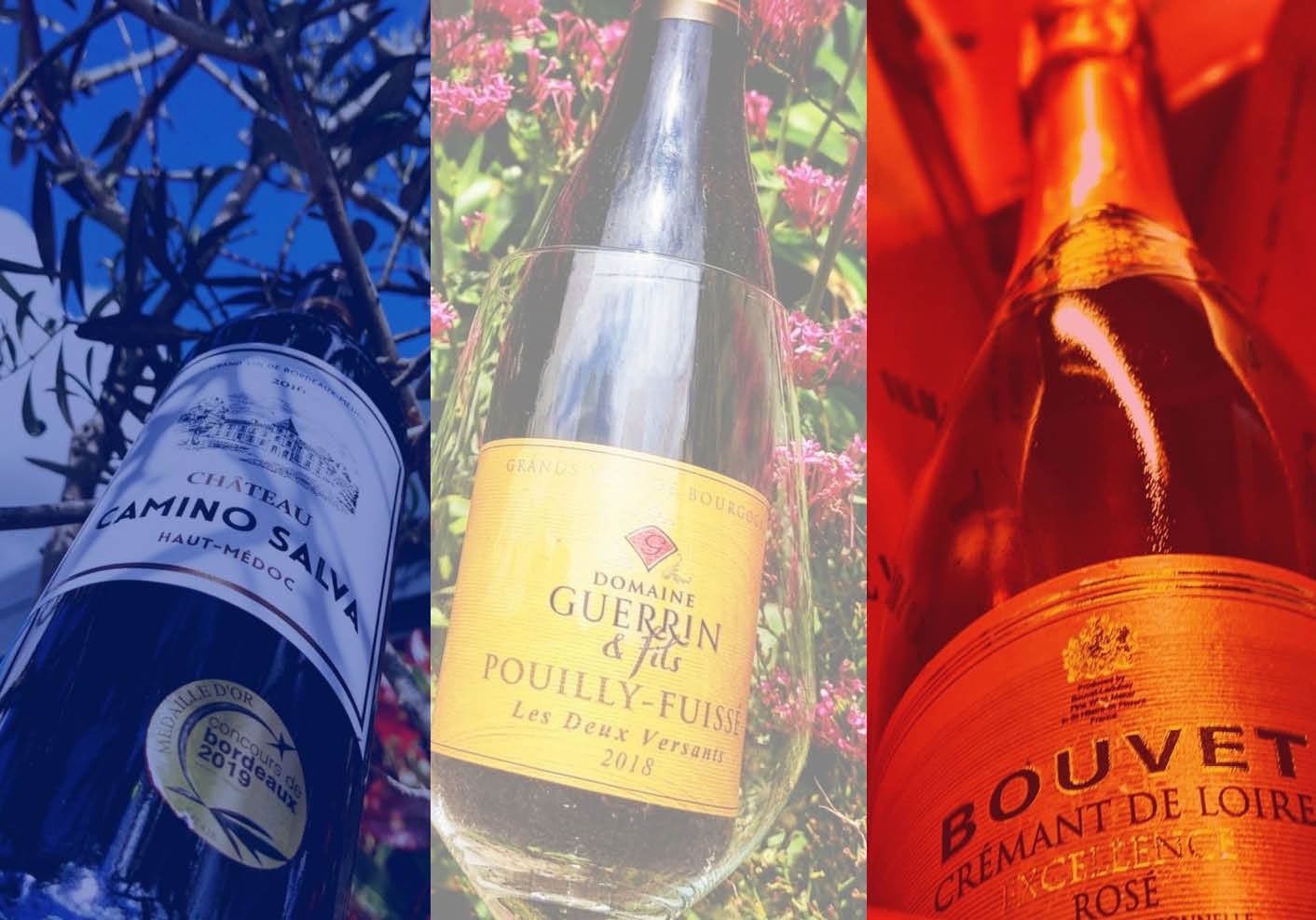 Bastille day celebrations – so many great wines to choose from!