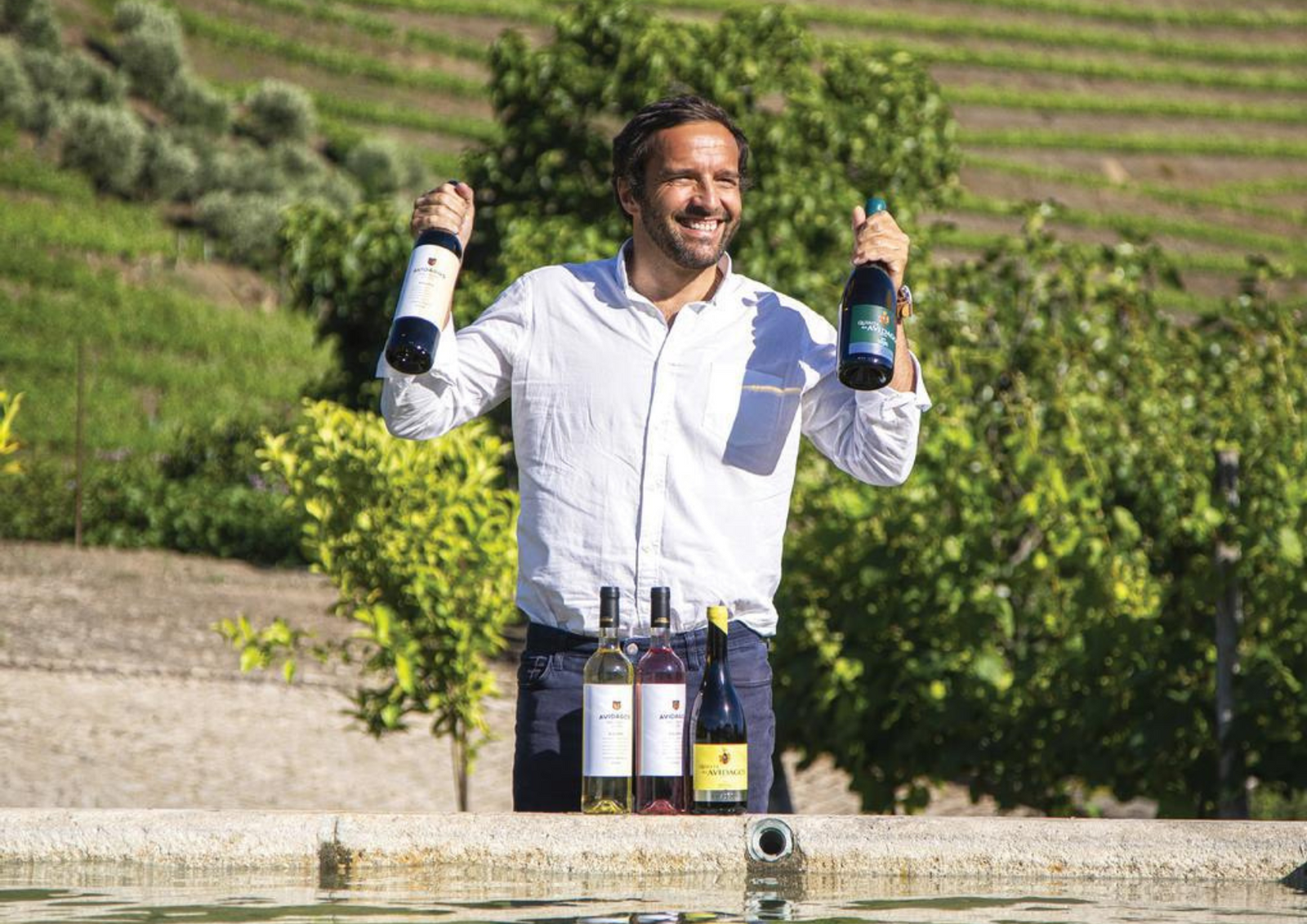 Quinta dos Avidagos Winery Image Whelehans Wines