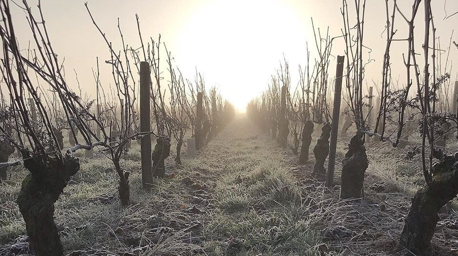 Domaine André Vatan