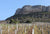 Domaine Carrette