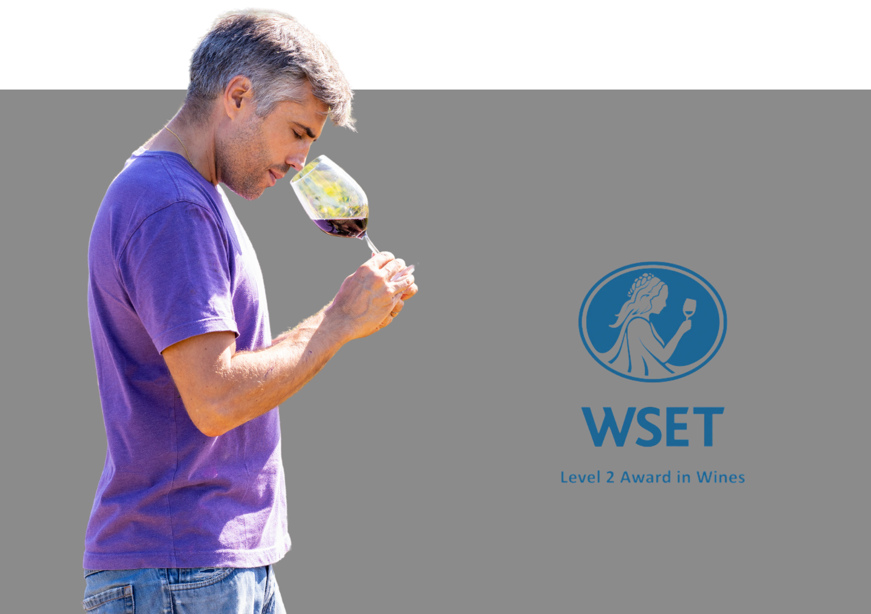 WSET Level 2 | Wine School - Starting 18th March 2026