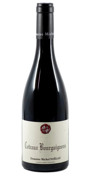 Domaine Michel Noëllat, Coteaux Bourguignons, 2023