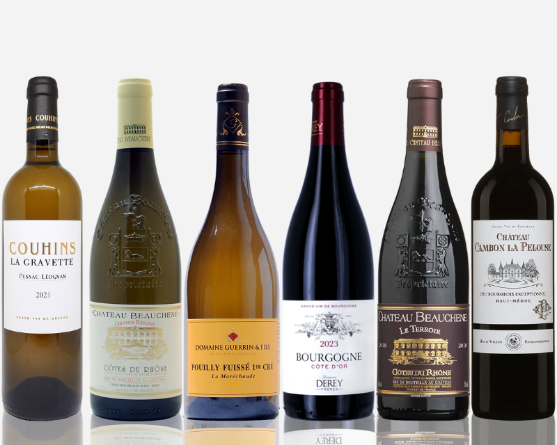 Seasonal Wine Case | Élégance