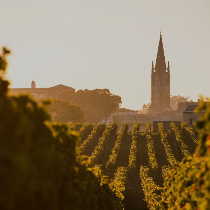 vineyard of Saint-Emilion illustrating the Fine Wine collection by Whelehans Wines. 