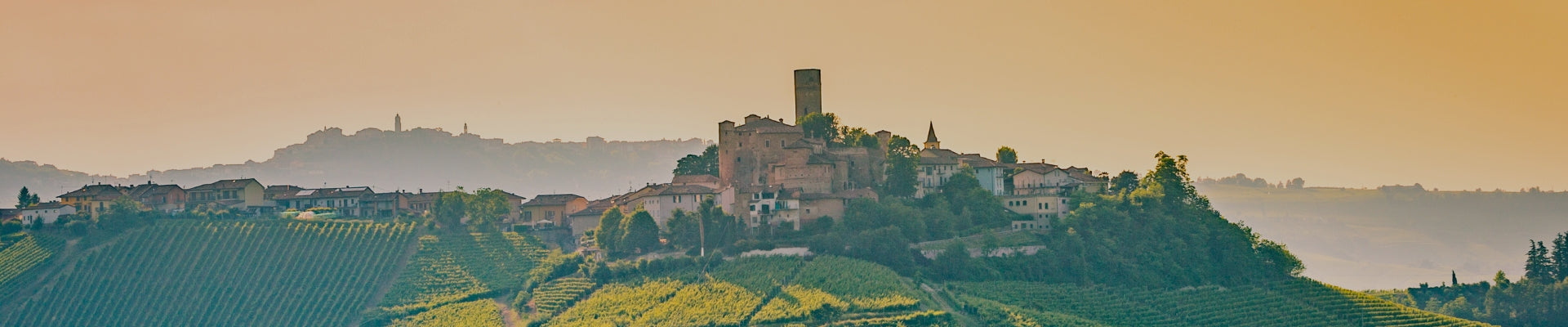 Image of an Italian vineyard illustrating the Italian wine selection by Whelehans Wines. 