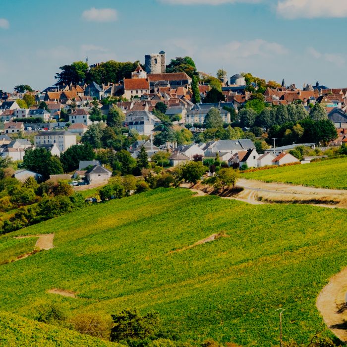 Image of the village of Sancerre illustrating Loire Valley wine selection by Whelehans Wines 