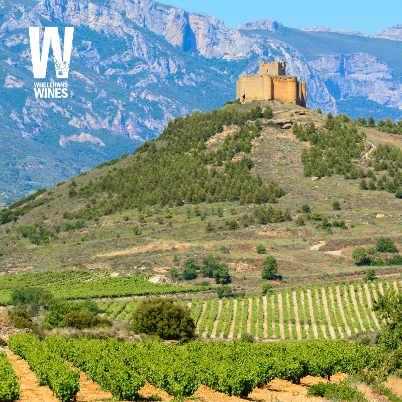 Exploration Thursdays | 12th March 2026 - Wines of Rioja