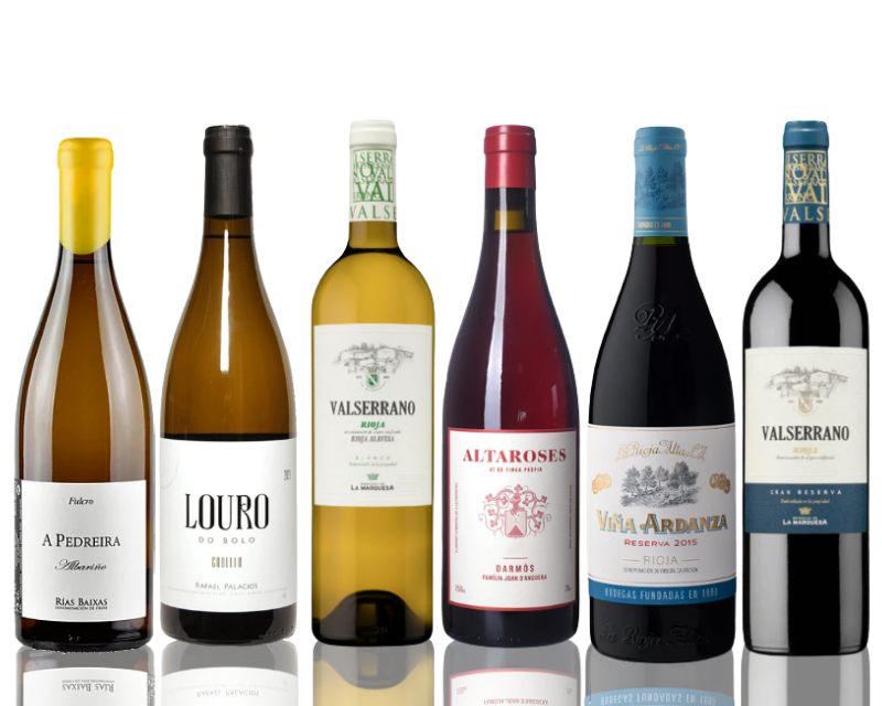 Seasonal Wine Case | Vibrance