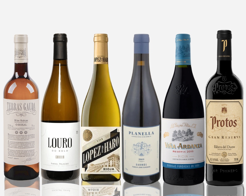 Seasonal Wine Case | Vibrance