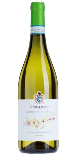 Vignamato Verdicchio dei Castelli di Jesi DOC Classico Terra delle Lame, 2023