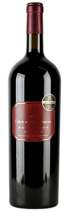 Fabre Montmayou Reserva Malbec Magnum Argentina Wine Whelehans Wines
